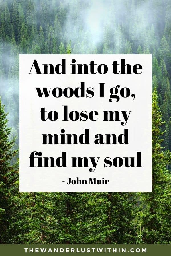 Environmental philosopher Quote John Muir Quote Wall Art John Muir Quote poster John Muir Quote John Muir Gift for Botanists,