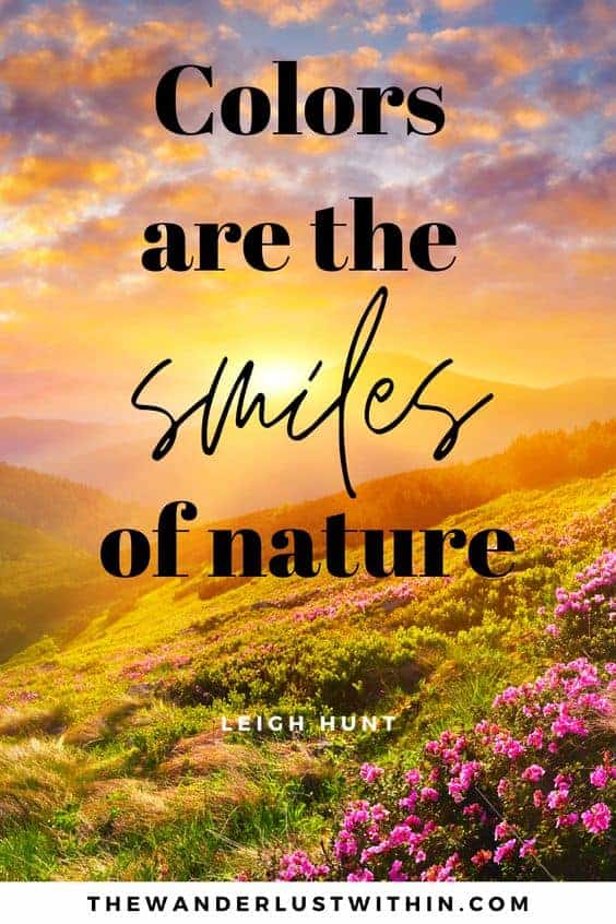 quotes on nature, love nature, love quotes natural love quotes beautiful view quotes nature peace quotes nature's beauty quotes natural beauty quotes into the nature quotes