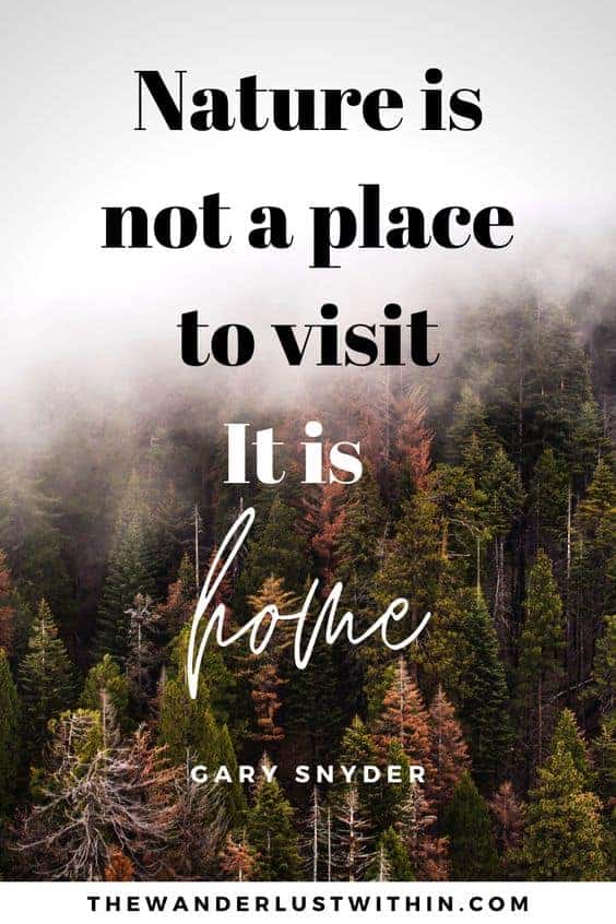 nature happiness quotes quotes for nature beauty nature escape quotes in love with nature quotes thought for nature nature love thoughts nature simple quotes beauty in nature quotes quotes about green nature feeling nature quotes